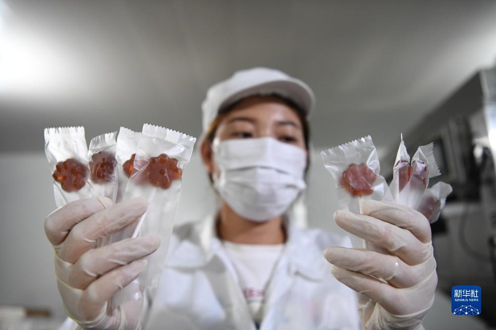 注册送好礼捕鱼
